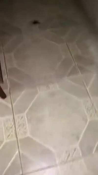 Why won’t you die, bitch?