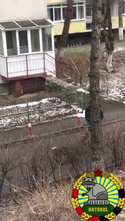 O zi obisnuita in Braila