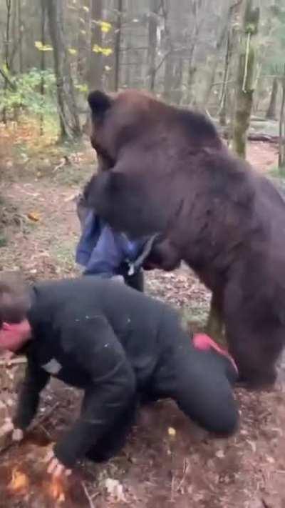 Having a pet bear in your backyard