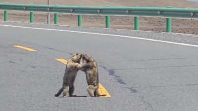 They’re literally enjoying the cinema without even having tickets. ✅