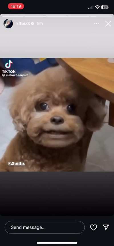 ts is frying me for some reason 😭😭😭😭😭