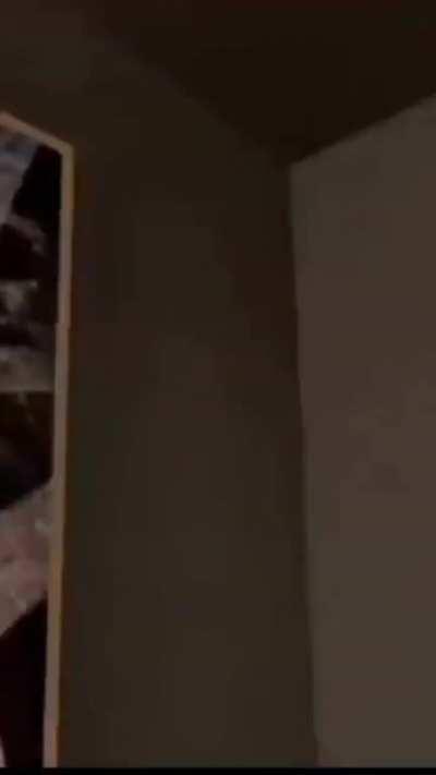 Life could be a dream