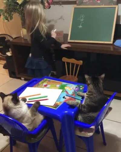 Bro we're just sitting here