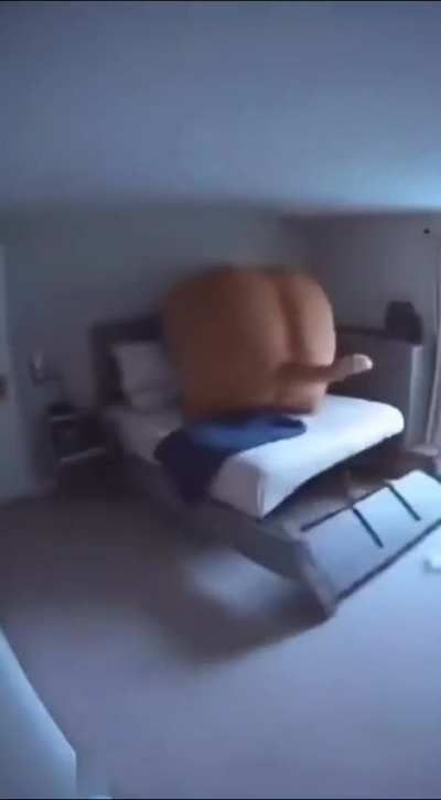 This is what happens when you forget to put out my DINNER