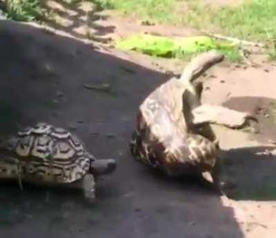 We all need a helping hand sometimes