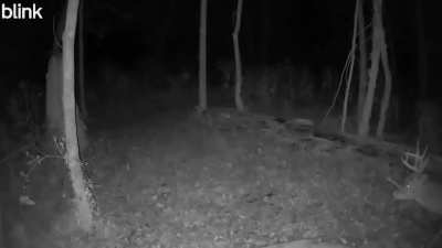 Two tens from last night