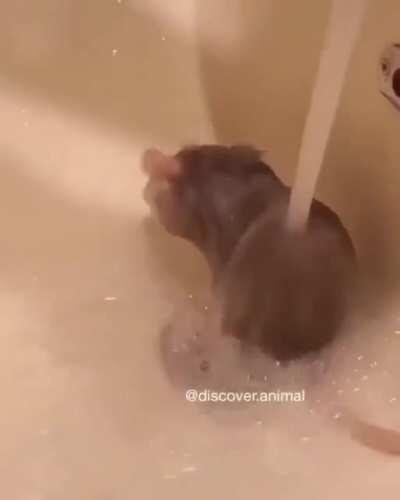 ATENCION SE FILTRA VIDEO DE RUBIUS BAÑANDOSE