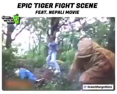 Nepali movie - Tiger fight scene