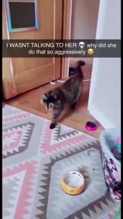 the pretty princess has arrived