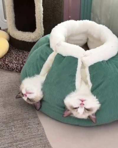 That's what happens on their weekends...