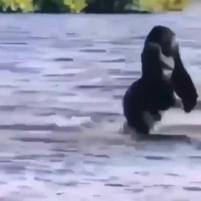 Water was too cold!!