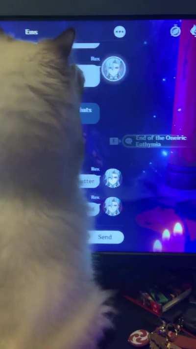 My cat seems to think the mouse cursor is a toy. She regularly goes in front of my screen when I try to play