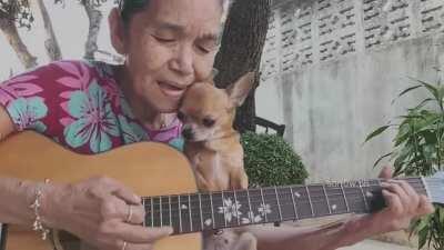 Grandma singing Put Your Head On My Shoulder to her chihuahua.