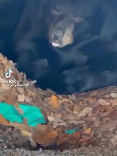 I’m so tired. MEME FOLDER PART 14 :D