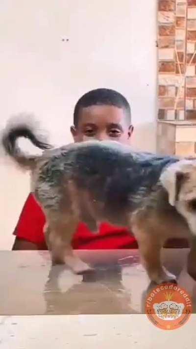 Novo programa de estudos 2023