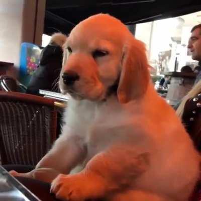 MRW my stomach's full of turkey and my Aunt's giving me detailed update stories on all my cousins.