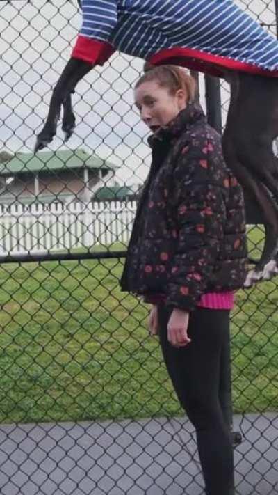 Rate my hound’s vertical leap.