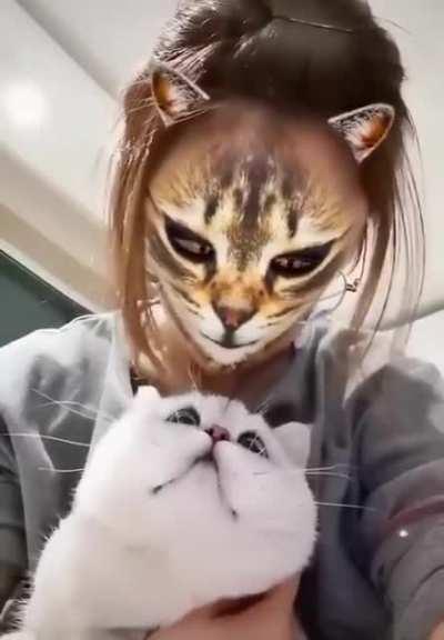 Never say cattyman in the mirror 3 times. Don't meow it, I mean.