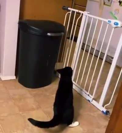 When you are solving a problem and then realize you missed the obvious solution.