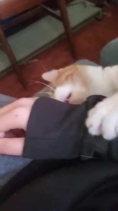 iNnOcEnT hUmAn EaTeN aLiVe By FeRoCiOuS tIgEr