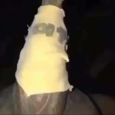 Media rara la rata no?