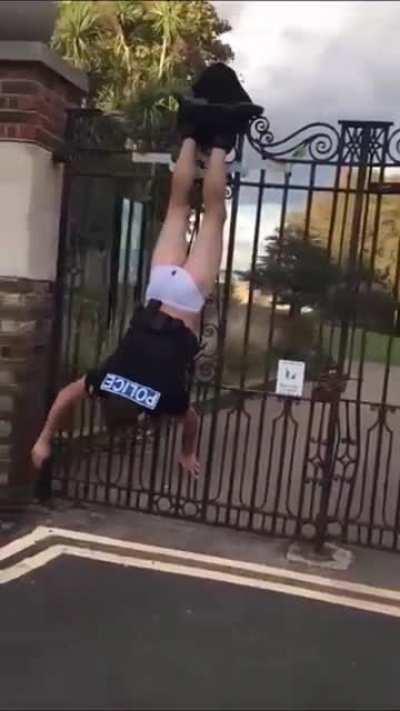 WCGW - when jumping a tall gate?