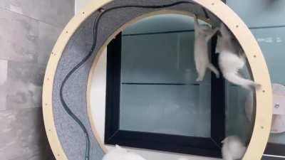 When you forget you've got babies now.