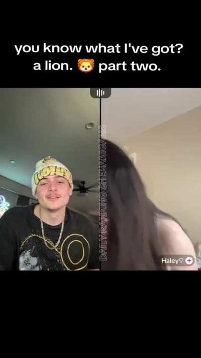 You know what I've got before? A lion. Part two.