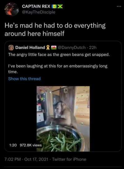 Nobody helps me in this house