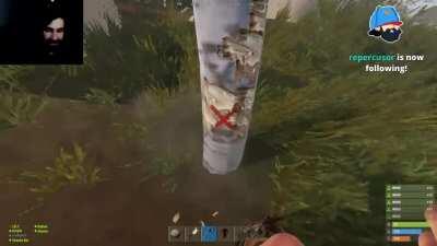 Los streamers de EGOLAND y el chat por la madrugada son perturbadores