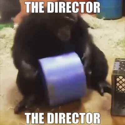 Reject infection, return to monke