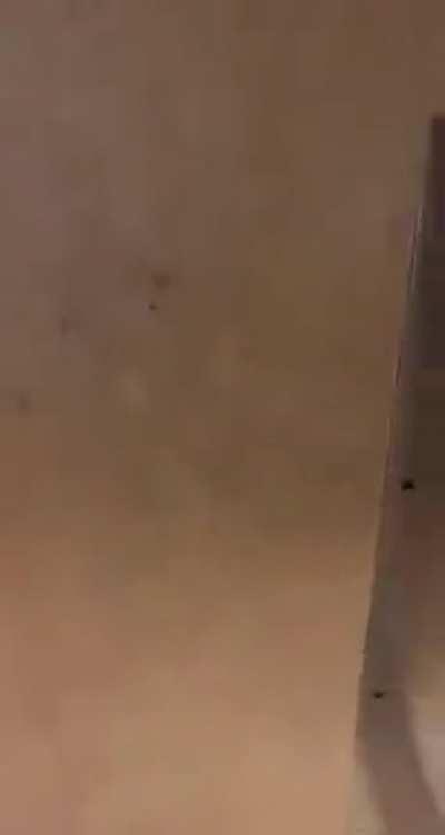 This video vibes with me work shits are important