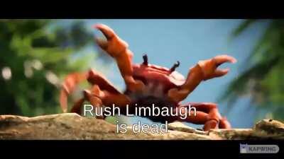 Rush Limbaugh is dead 🦀🦀🦀🦀