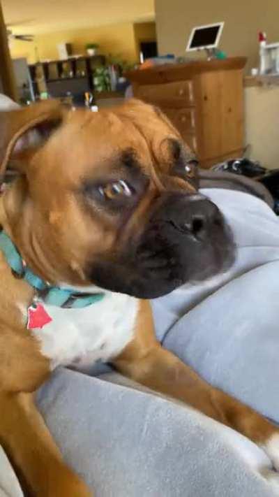 2 deaths in 1 video special