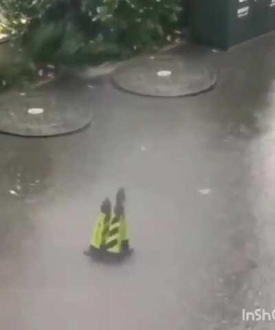 I don't know what's going on here but I like it ð¤£ 