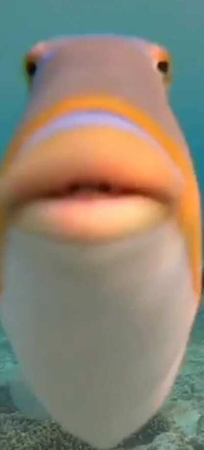 What a nice young man