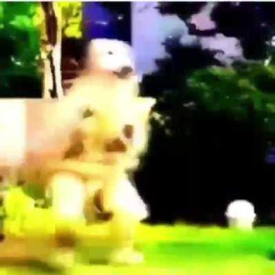 What da dog doin??!?! 😳😳😳