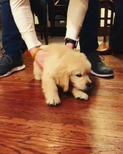 It just won't STAY UP!