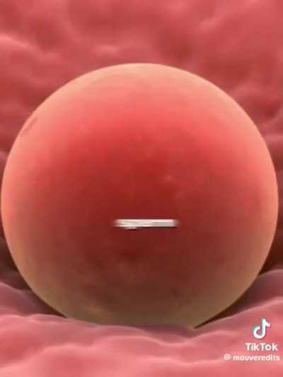 TikTok is amazing (obviously credit to @mouveredits)