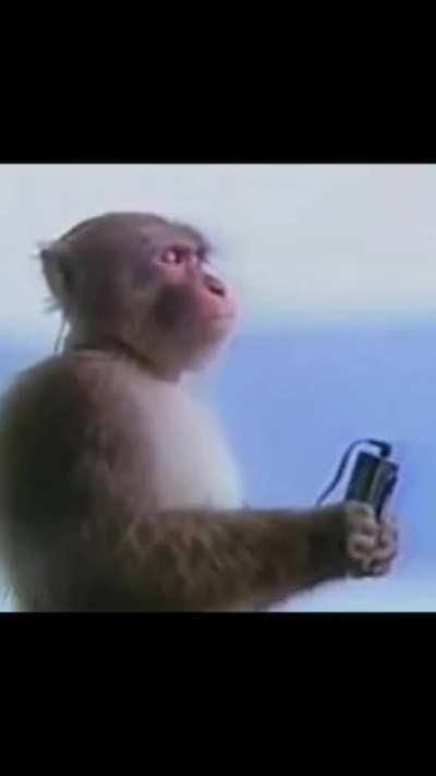 Ye sir kaha milenge ?