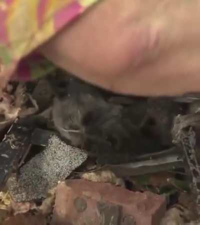 She had thought she lost her dog from the tornado but he was somehow found during the interview