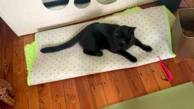 He didn’t want me to do yoga