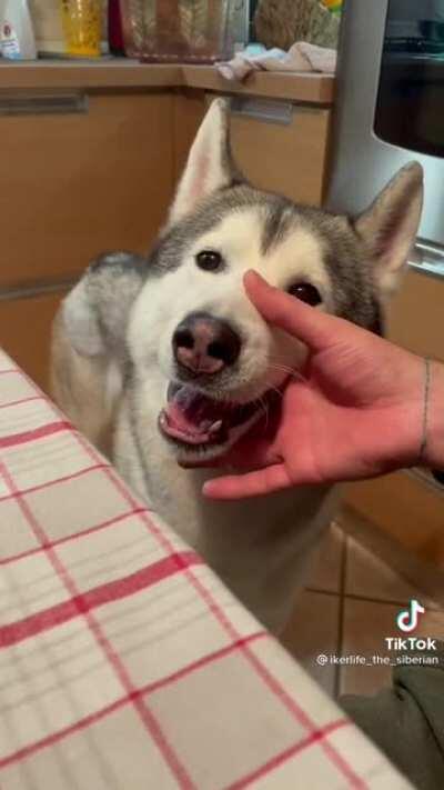 Blah blah blah blah...