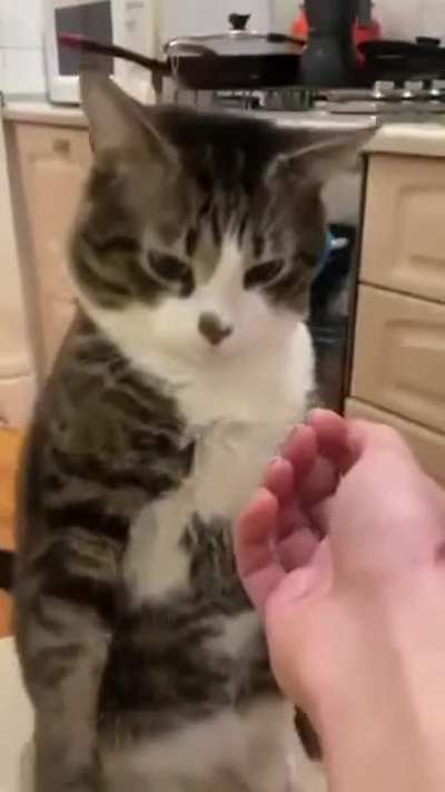 Try Not to be Ratchet Challenge (Level: Impossible)(epic fail!!)