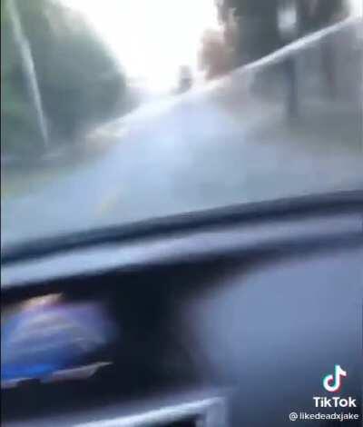 Semi-trailer opens up on a hill and dumps 2-4 inch steel balls all over the place