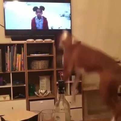 You jump, I jump, we all jump