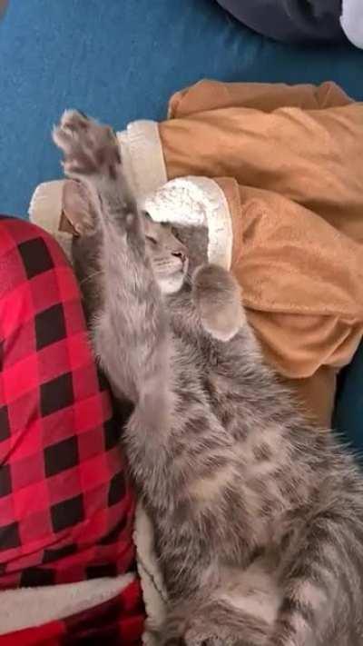 He has one job and that is bread making and he doesn't stop,ever.