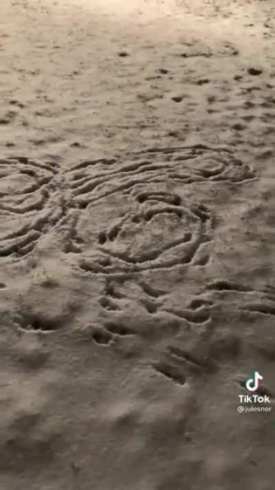 Um verdadeiro artista