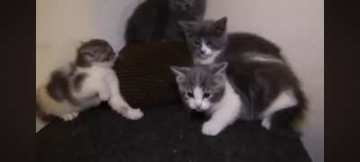 REST IN PEACE STEVE CARL CASH NOVEMBER 14TH - APRIL 16TH 2020