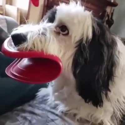 Illegal botox injection..